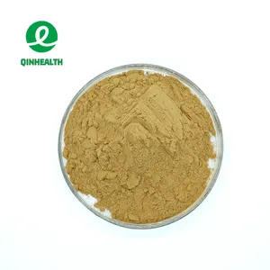 उच्च गुणवत्ता शेर अयाल मशरूम निकालने/hericium erinaceus मशरूम पाउडर