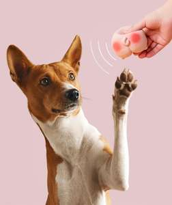 2022 Nieuwe Interactieve Roze Latex Scheet Hond Speelgoed Zacht Geluid Huisdier Piepen Speelgoed Grappig Speelgoed Voor Honden - Product Image 4