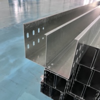 200 150 2mm Düşük Maliyetli Korozyon Önleyici Q235 Önceden Galvanizli Bölücülü Masif Kablo Kanalı İç Mekan Düşük Bütçeli Kablo Projeleri İçin