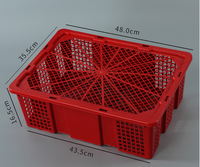 Boîte de transport en plastique pour cailles / Caisses à poulets / Boîte de transport pour pigeons / Équipement de transport de volailles