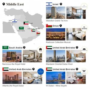 Juego de Muebles FF&E Personalizados para Habitaciones de <span class=keywords><strong>Hotel</strong></span> de 5 Estrellas IDM, Muebles de Madera Modernos y de Lujo para Habitaciones de Huéspedes, para Proyectos de Hoteles, Resorts y Apartamentos - Product Image 6