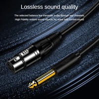 Jinghua Câble audio femelle 6.5 vers XLR 6.35 Microphone équilibré XLR à trois cœurs Console de mixage Haut-parleur Système de sonorisation