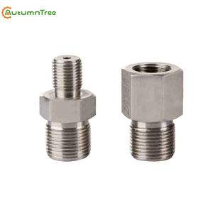 पीतल का दबाव गेज स्नूबर/नम सील उत्पाद श्रेणी - Product Image 3