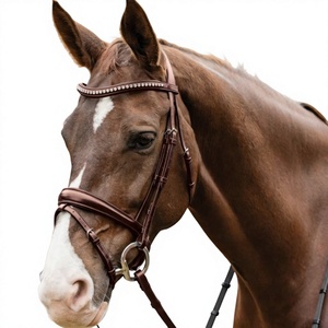 Premium Quality Durable <b>Leather</b> Horse Bridle Western Saddle Full Size Custom Packaging Hand <b>Tooled</b> by Equestrian Suppliers - Product Image 6