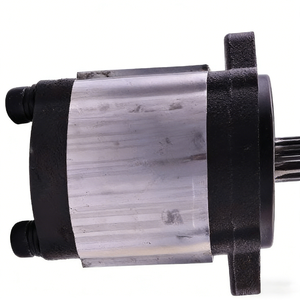 Pompe à engrenages hydraulique pour <span class=keywords><strong>mini</strong></span>-excavatrice 301.5/301.6/301.8 1.5-2.2T, 159-7181, moteur 3003, remplacement direct - Product Image 1