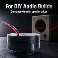 Samtropik Speaker Resonansi, Pengeras Suara Bass Kuat Semua Frekuensi Klakson Speakersy Getaran untuk Sofa Diy
