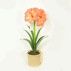 Bushyจําลองบ้านผ้าไหมนุ่มFauxดอกไม้การถ่ายภาพPropsตกแต่งห้องนั่งเล่นปลอม<span class=keywords><strong>Clivia</strong></span> <span class=keywords><strong>Miniata</strong></span>-149 - Product Image 3