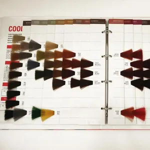 Professional Hair Color Swatch Book OEM ODM Hair Color Chart