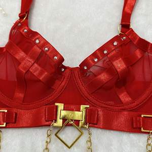 A0250奢华内衣情色套装束缚网布女士内衣套装带链浪漫火辣花式成熟女性性感内衣 - Product Image 6