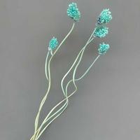 Großhandel für Heim- und Restaurantdekoration: Natürliche, konservierte Zwiebelkugel-Blume für Valentinstag und Muttertag