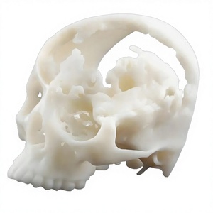 Modelo Humano <span class=keywords><strong>3D</strong></span> Reutilizable de Grado Médico Profesional, Prototipo Rápido de Resina para Estudio Anatómico - Product Image 1