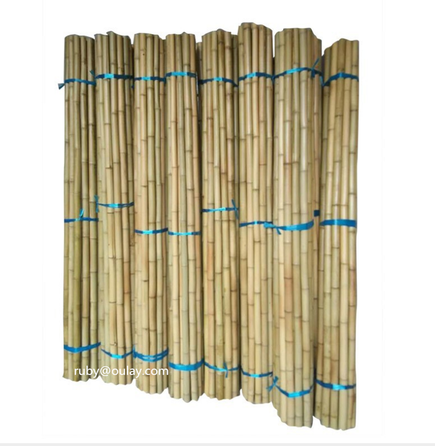 Thick Wall  Bamboo Canes Poles Stakes
