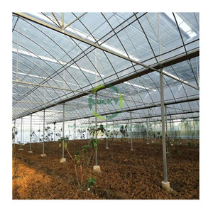 Casa di felce per cortile casa fattoria a campata multipla serra per piantare fragole - Product Image 6