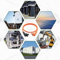 Connecteurs de stockage d'énergie pour système solaire IP67, câble d'alimentation, pack de batteries en cuivre, boîtier en nylon, connecteurs mâle/femelle