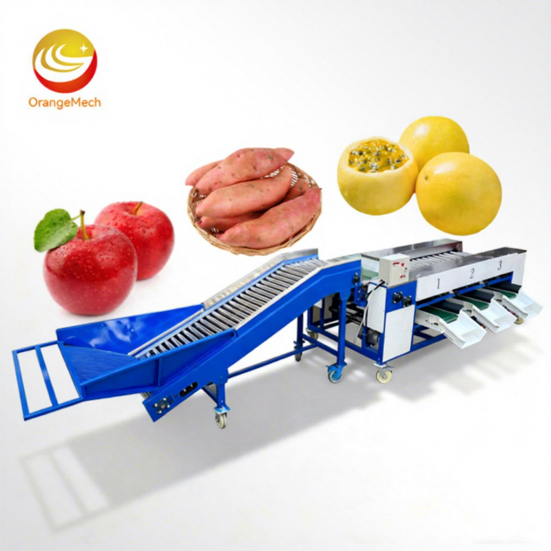 ORME High Efficiency Automatic Fruit Vegetable