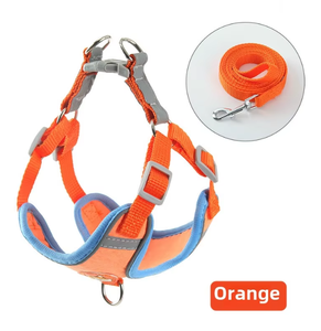 Arnés para perros personalizable respetuoso con el medio ambiente, resistente al agua, a prueba de mordeduras, correa para mascotas - Product Image 5