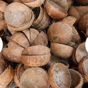 Cáscara de Coco Impermeable Premium al por Mayor para Fabricación de Velas, Soporte Natural, Decoración del Hogar, Origen Estadounidense, Directo de Fábrica, Alta Calidad - Product Image 1