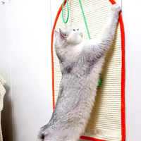 Tapis à gratter écologique pour chat et chien, planche à gratter pour chaton, tapis résistant, durable, pour aiguiser les griffes et dormir