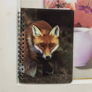 Quảng Đông Nhà Máy Làm 3D Dạng Thấu Kính Máy Tính Xách Tay Tùy Chỉnh Dịch Vụ Xoắn Ốc Máy Tính Xách Tay Hiệu ứng 3D Cho Quà Tặng - Product Image 4