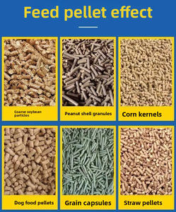 Máquina para Hacer Pellets de Alimento para Animales en Nueva Condición, Modelo para Granjas Grandes, Máquina de Pellets de Alimento con Motor Diésel para Alimento de Pollo Hecho con Soja - Product Image 5