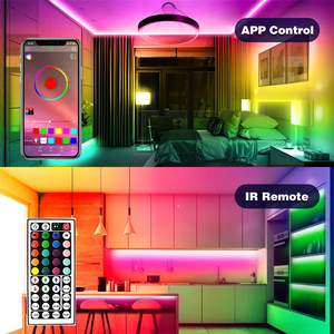 Tira de luces <span class=keywords><strong>LED</strong></span> rgb 5050SMD, cinta Flexible de 12V, Color blanco cálido, rojo, azul, verde, 5m, 10m - Product Image 5