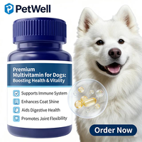Tablet Multivitamin Hewan Peliharaan Label Pribadi OEM, Kunyah Lembut, Nutrisi, Suplemen Imunitas untuk Anjing dan Kucing