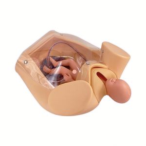 Kyrenmed Geavanceerde Levering Uitgebreide Vaardigheidstraining Model Foetale Bevalling En Verloskundige Onderwijsmodel Moederopleiding - Product Image 5