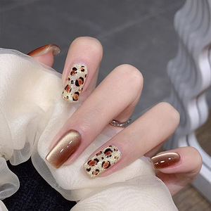 AILANUO Vernis gel œil de chat en verre ambré 12 couleurs OEM/ODM, vernis à ongles gel œil de chat Hema TPO, fournitures de manucure en gros - Product Image 3