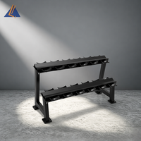 Support de Rangement Pliable en Acier à 2 Niveaux pour Haltères, Robuste et Sûr, Idéal pour Salle de Sport et Studio de Fitness - Offre Spéciale