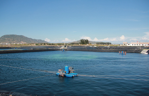 Ngoài trời geomembrane/HDPE geomembrane/Pond Liner - Product Image 4