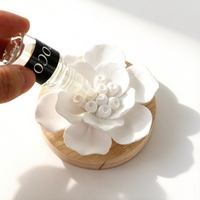 Diffuseur d'arômes en céramique parfumée aux huiles essentielles, pierre désodorisante pour la maison et la garde-robe