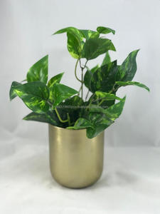 Pot de fleurs en laiton chromé, écologique et durable, design zen asiatique, QAMAR OVERSEAS BEST SELLING - Product Image 3