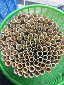 หลอดไม้ไผ่รักษ์โลกสำหรับโรงแรมแมลงที่พักพิงในสวนเลี้ยงผึ้งบ้านเลี้ยงผึ้งธรรมชาติที่ยั่งยืน - Product Image 3