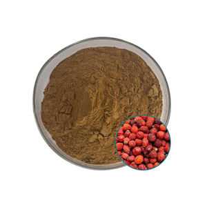 Polvo de polifenoles 10% Extracto de rosa mosqueta de alta calidad - Product Image 3