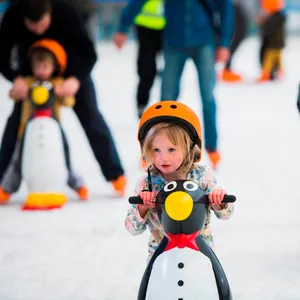 2023 Die beliebteste kommerzielle Kunststoff-Pinguin-Eislauf hilfe