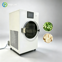 Mini lyophilisateur domestique pour confiseries, café, fraises, cerises, jackfruit – Machine de lyophilisation