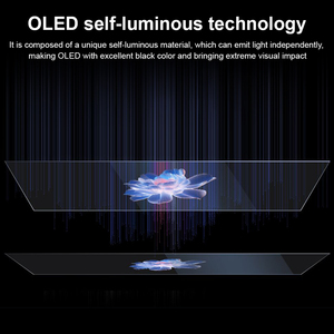 Affichage numérique OLED transparent, alternative au film transparent LED pour l'affichage en vitrine de magasin de détail - Product Image 6