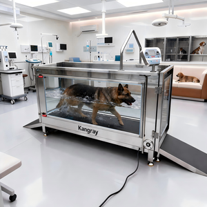 Sistema de Hidroterapia para Perros Grandes, Caminadora Subacuática para Rehabilitación Canina Veterinaria, Caminadora Acuática para Perros Grandes - Product Image 2