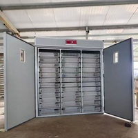 Nouvelle conception d'incubateur 3-en-1, couveuse et éleveuse combinées, alimentation en eau automatique, écran LED, certifié CE, utilisation domestique et commerciale