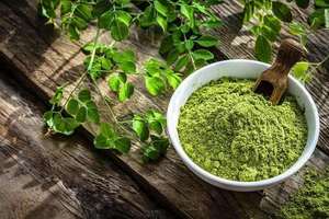 Poudre de Moringa Naturelle Premium de Qualité Alimentaire, Feuilles d'Herbes Finement Broyées pour Usage Général, Qualité Pure et Emballage en Vrac - Product Image 6