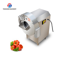 Coupeur automatique Trancheuse Cubes Coupe Dicer Gingembre Machine De Découpe Julienne Triangle Plantain Machine De Découpe (TS-Q50)