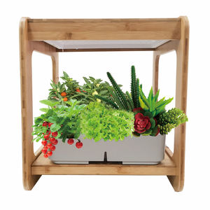 Sistemas de Cultivo Hidropónico de Bambú para Interiores <span class=keywords><strong>2023</strong></span>, Luces LED de Espectro Completo para Plantas, Invernadero Interior, Jardín Doméstico - Product Image 1