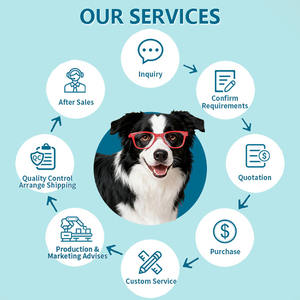 Suppléments à mâcher OEM pour le soulagement des démangeaisons des chiens, quercétine + propolis d'abeille, soutien immunitaire, suppléments pour chiens de marque privée de marque privée - Product Image 5