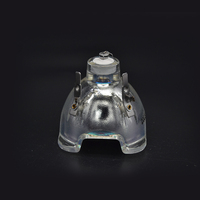 Lampe de projecteur E21.8 à alimentation directe d'usine pour projecteur multimédia, ampoule de remplacement