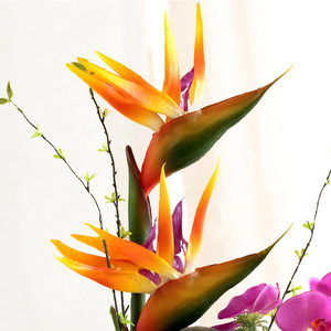 Décoration d'intérieur : Fleurs artificielles d'oiseau de <span class=keywords><strong>paradis</strong></span>, plantes en plastique réalistes au toucher naturel pour la remise des diplômes - Product Image 1