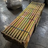 Panneaux de coffrage modernes en acier Q235 haute résistance, taille réglable, réutilisables, étais de nivellement à poussée et traction, étais muraux, pieds simples