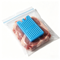 Brique de glace réutilisable de qualité alimentaire pour sac isotherme, conservation au froid longue durée, pour transport alimentaire et camping