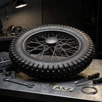 Neumáticos de motocicleta todoterreno AXZ WS124 de 17 y 14 pulgadas, llanta de hierro de alta resistencia, núcleo de tambor negro SDG de 15 mm, nuevo estado, juego completo, 1 año de garantía