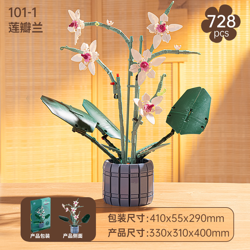 Lotus Petal Orchid 101-1