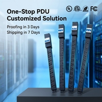 YOSUN Multiprise 12 prises US NEMA avec disjoncteur 1U 19'' pour montage en rack de serveur